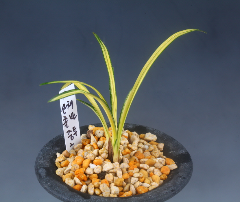 아가씨닮은  산채출발 ?