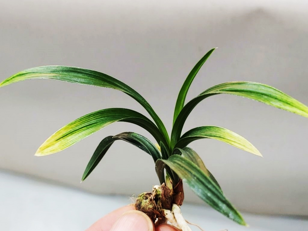 1등  환산반