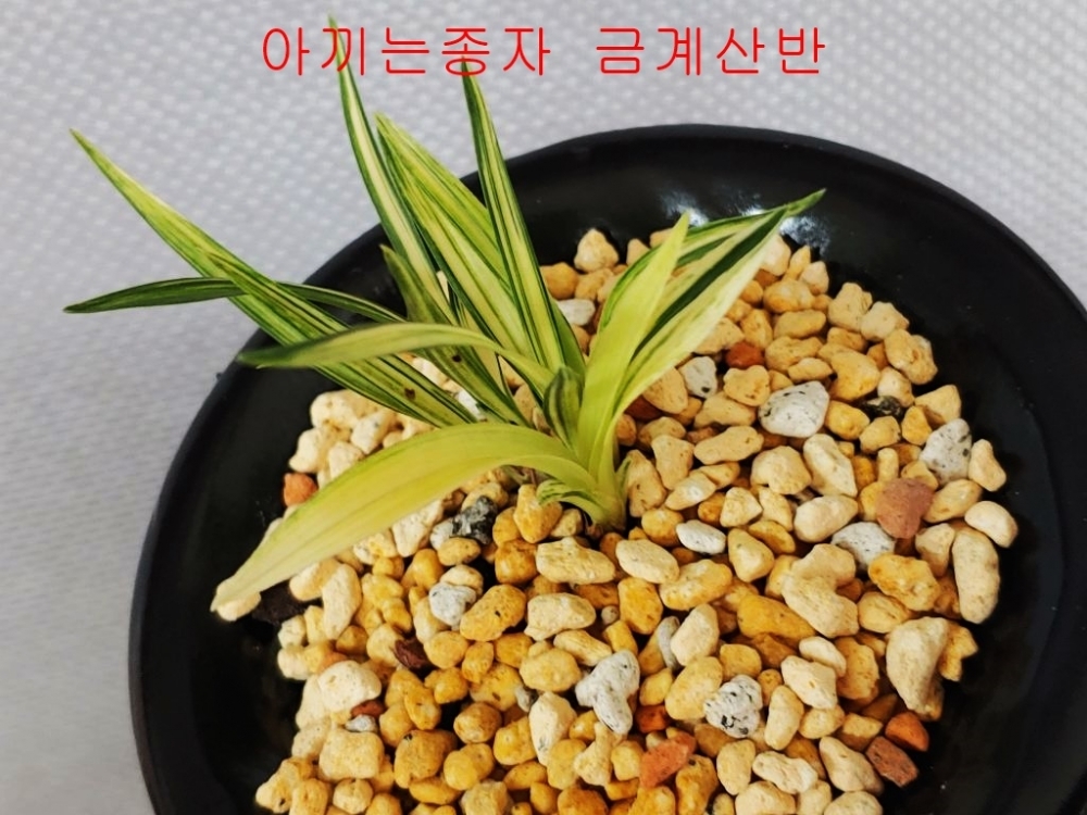 [관심상품]