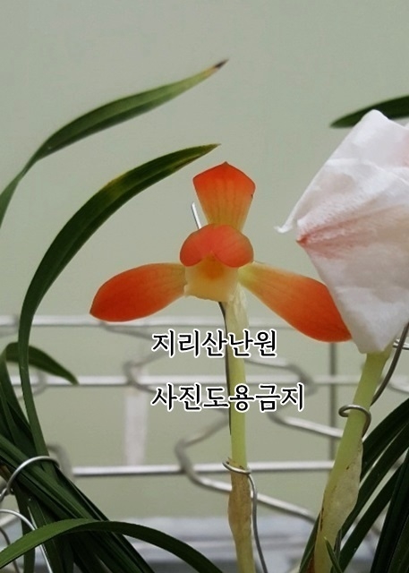 [관심상품]