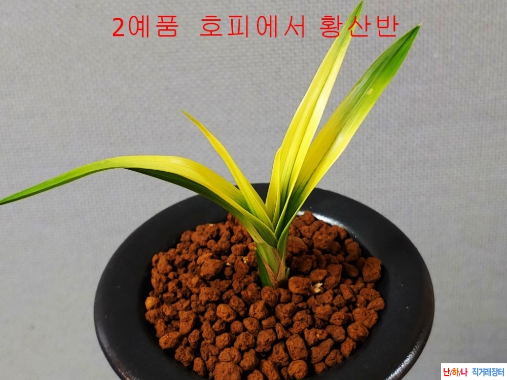 이예품 산반