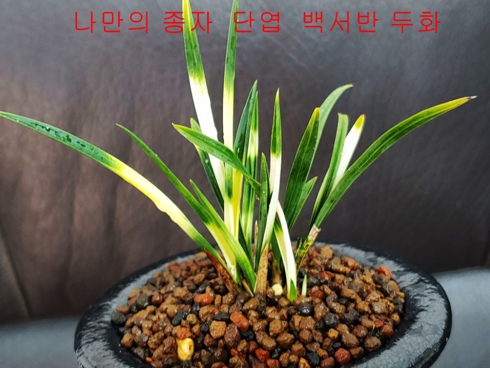 관심상품