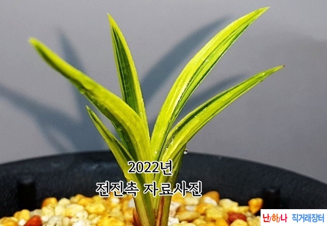 [관심상품]