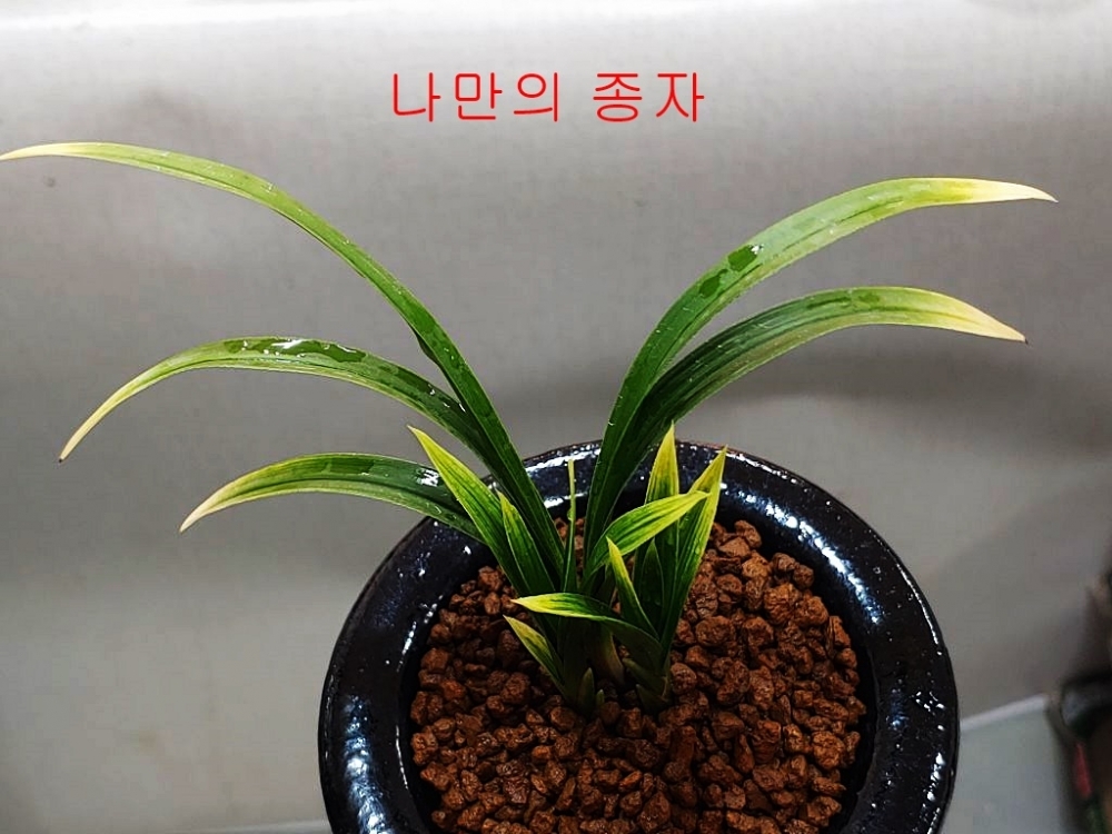 [관심상품]
