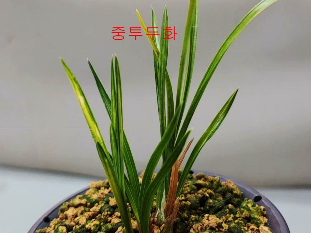 기대품