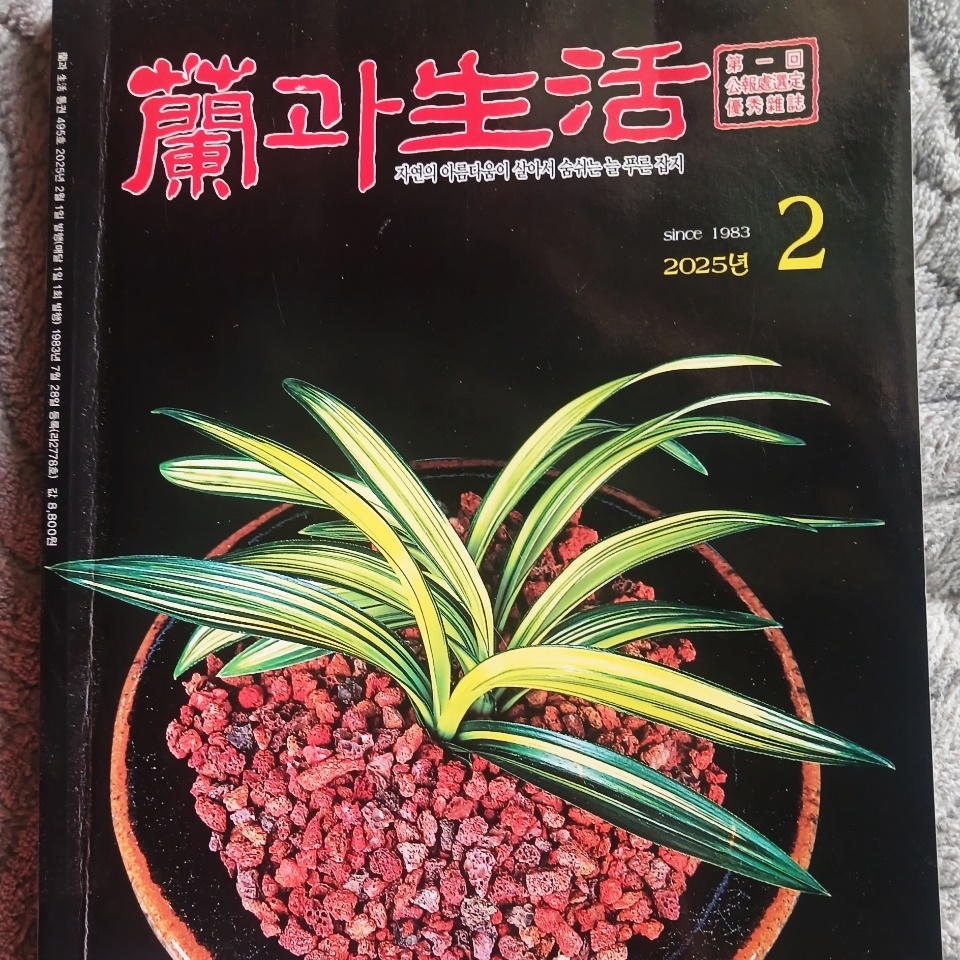 뜨는종자