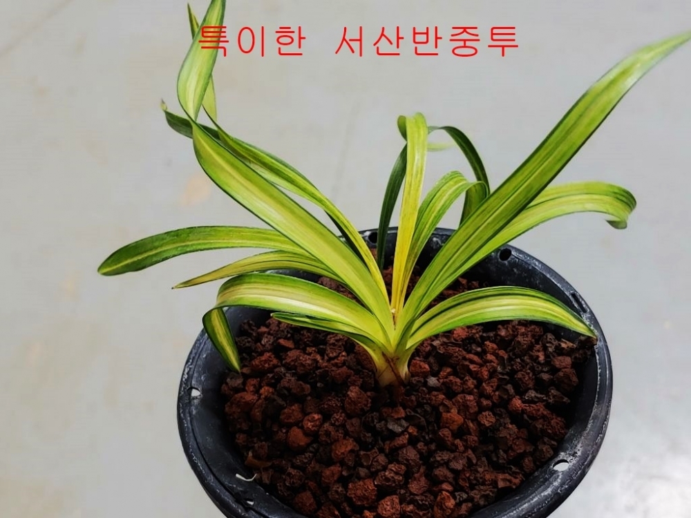 복예품