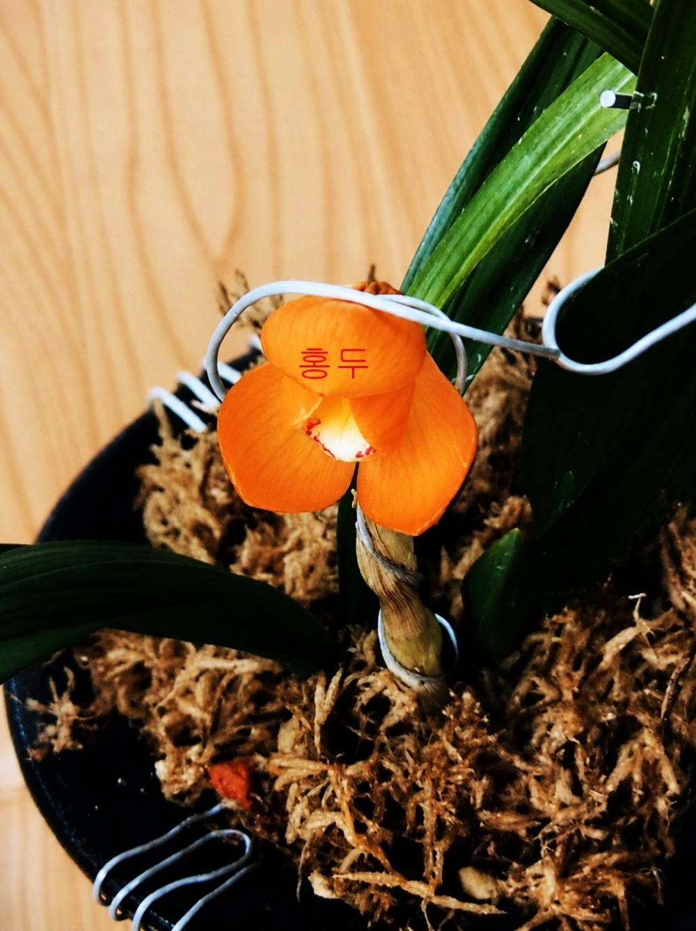 [관심상품]