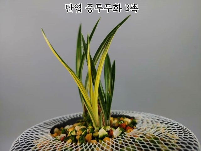 [관심상품]