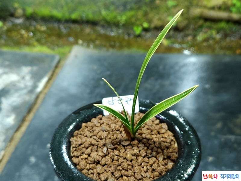 인기좋은 남산관