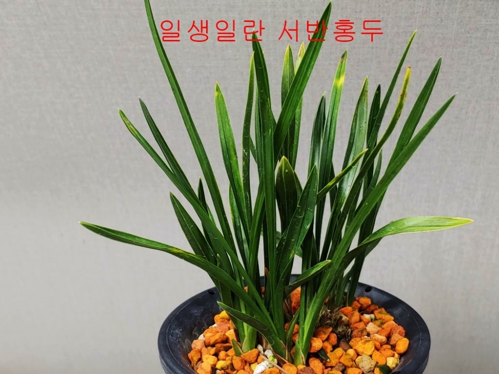 [매니져  추천]