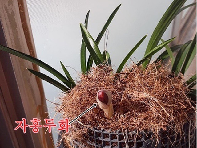 [관심상품]