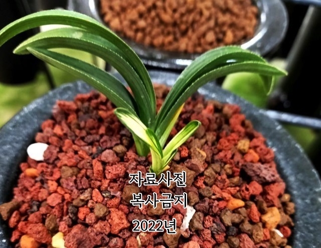 [관심상품]