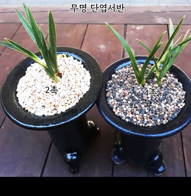 [관심상품]