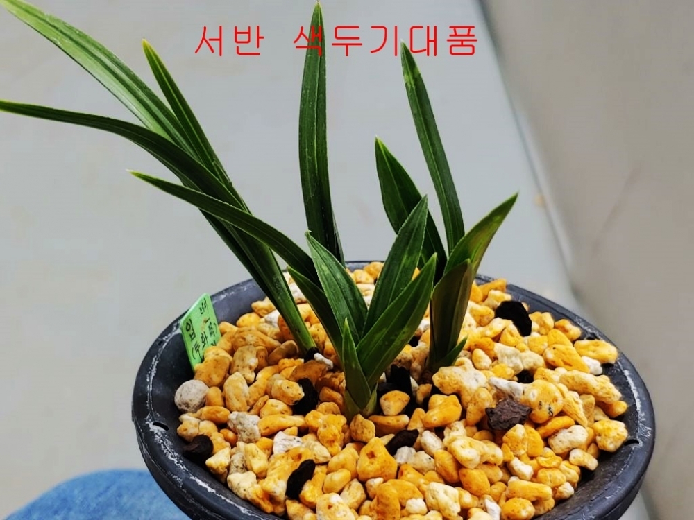 기대품