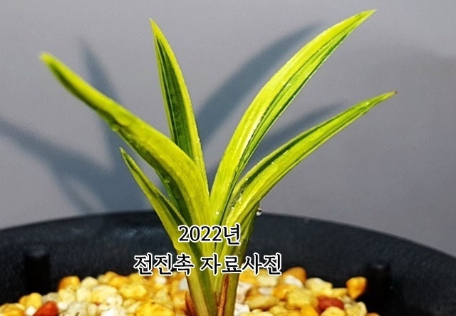 [좋은종자]