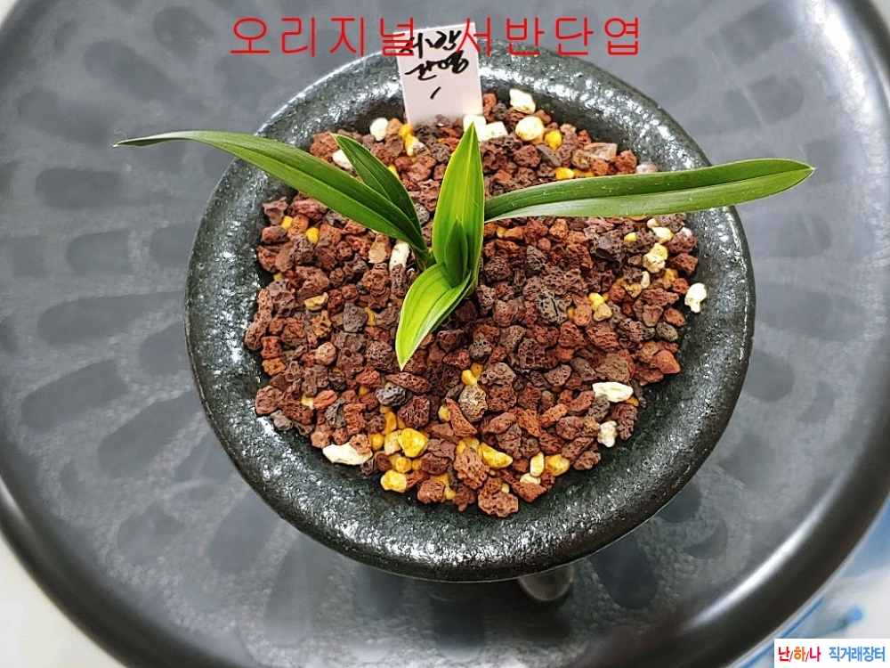 관심상품
