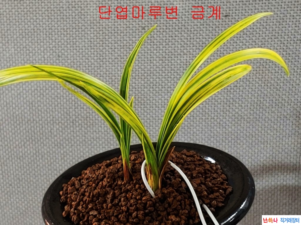[관심상품]