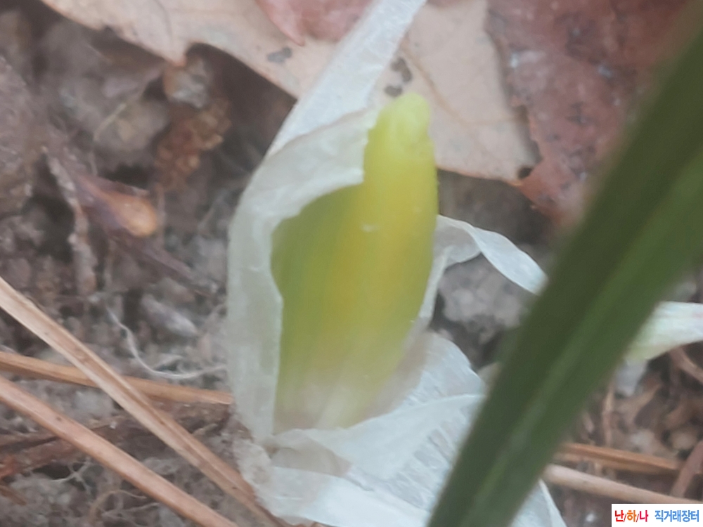 산채복색같은색화