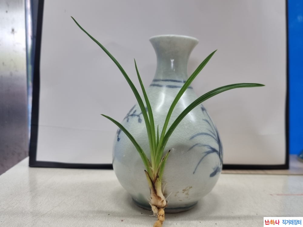 종자좋은 이예품 장단?