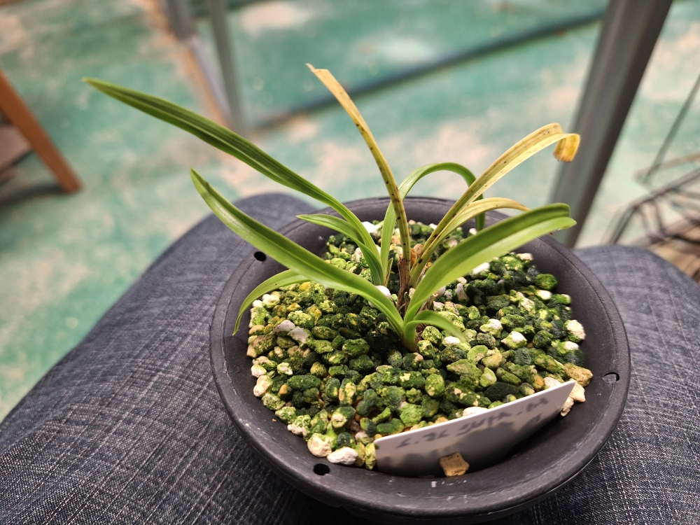 보름달은 아닌 예쁜 서?