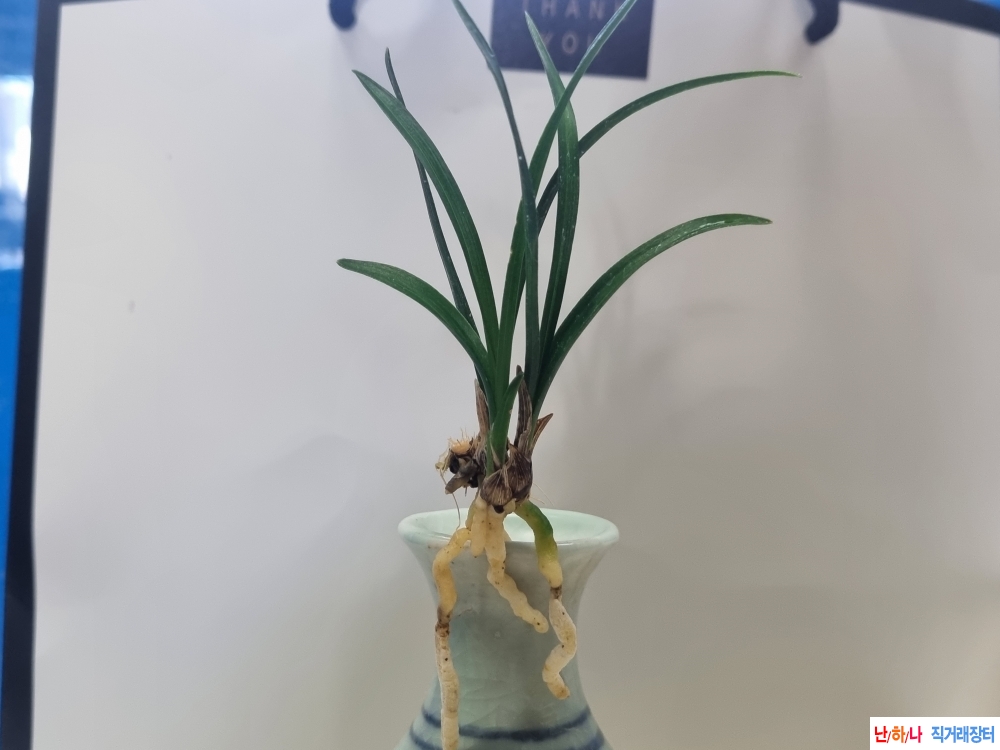 산채출발 잔나사지있?