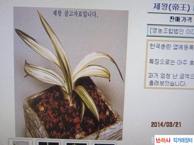 환엽백중투