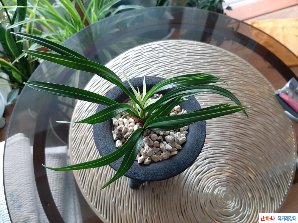 서산반