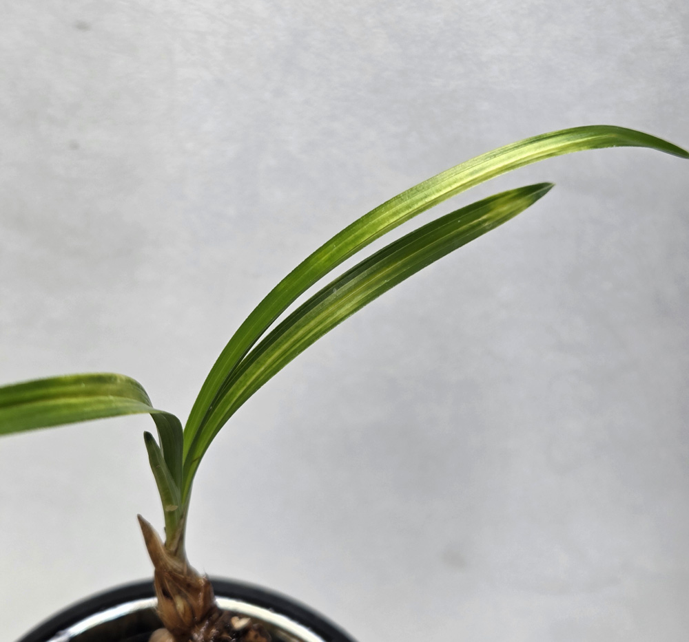 이쁜 서반입니다.