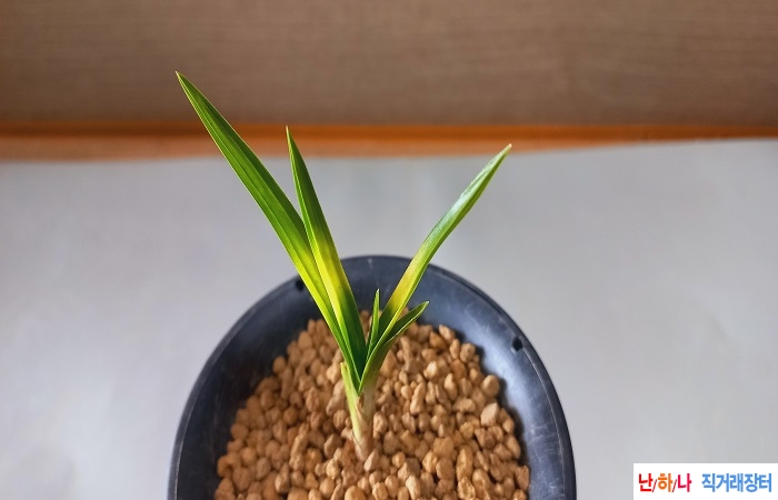입변황서호반