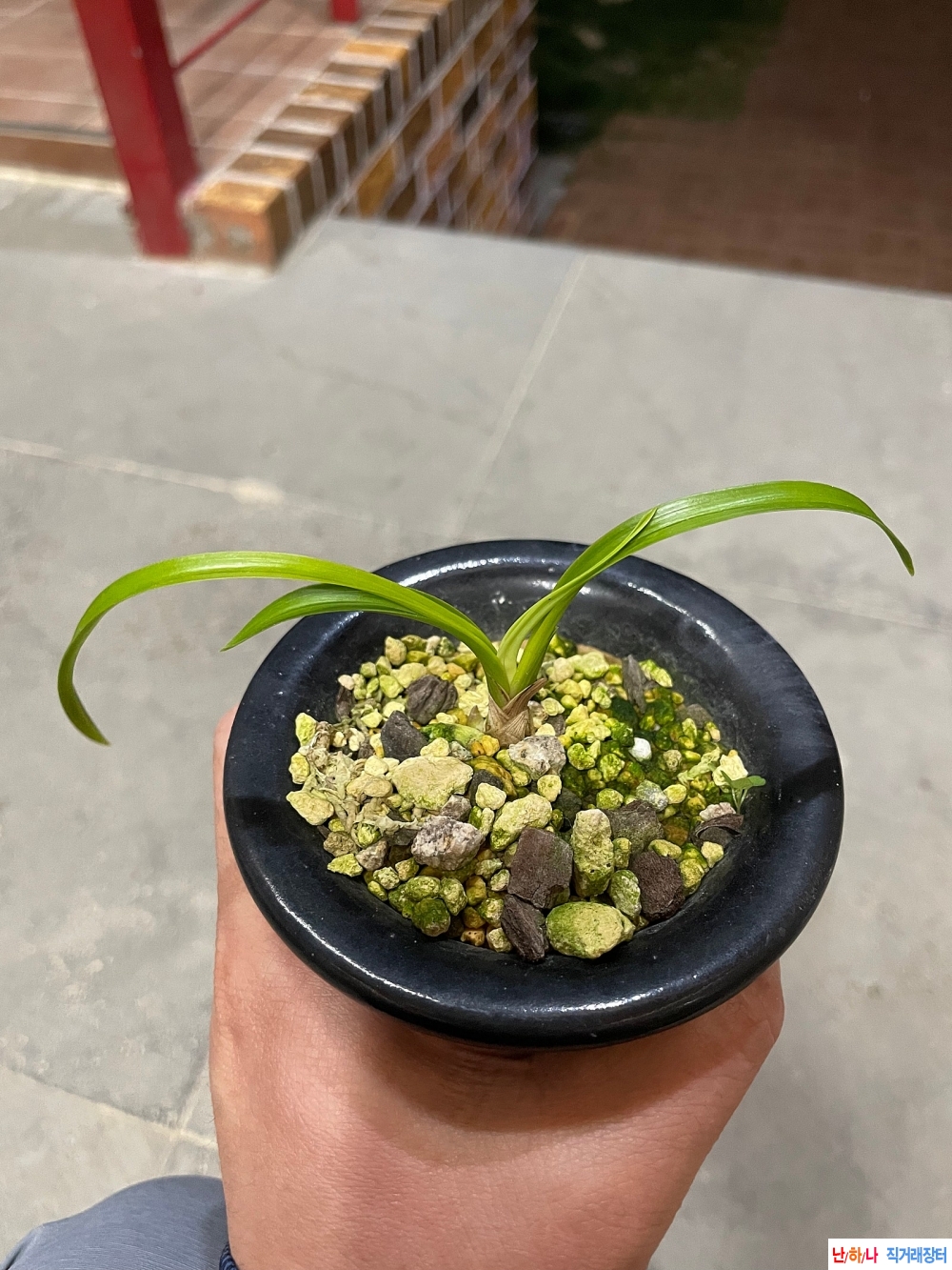 환엽기부서반