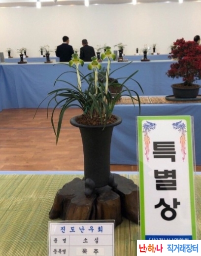 원판소심3