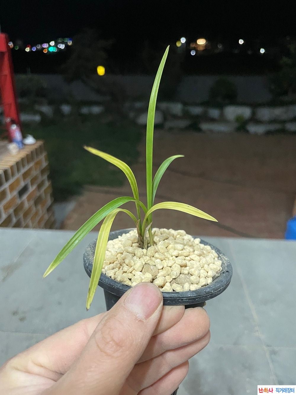 서반2 .