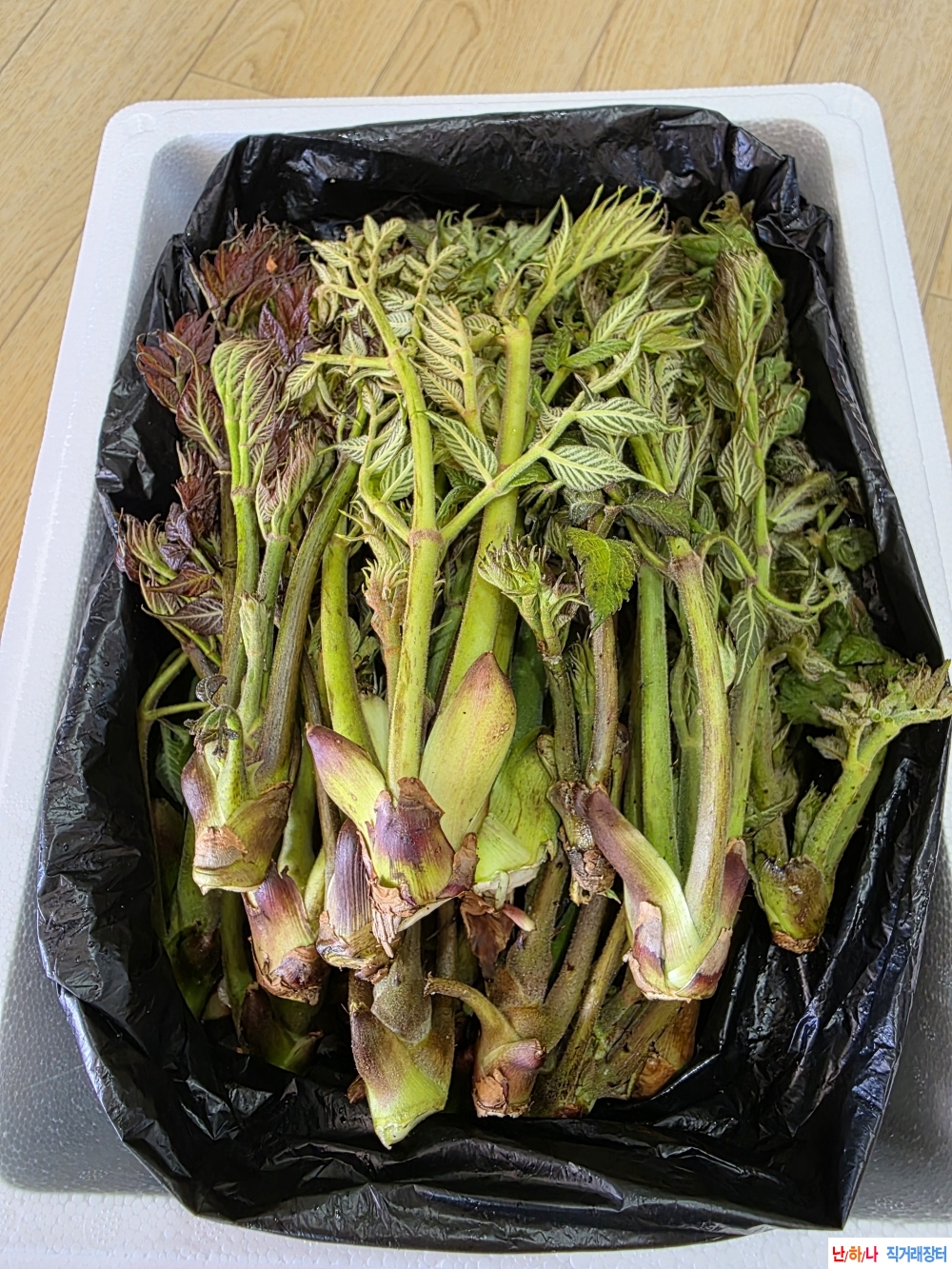 방금따온 산두릅핀것