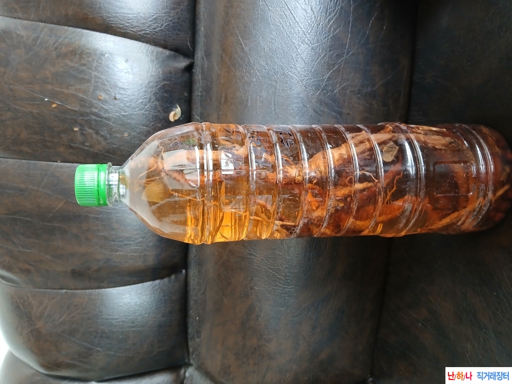 자연산 산도라지 약술