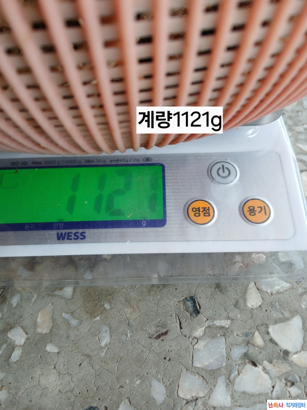 자연야생연삼판매