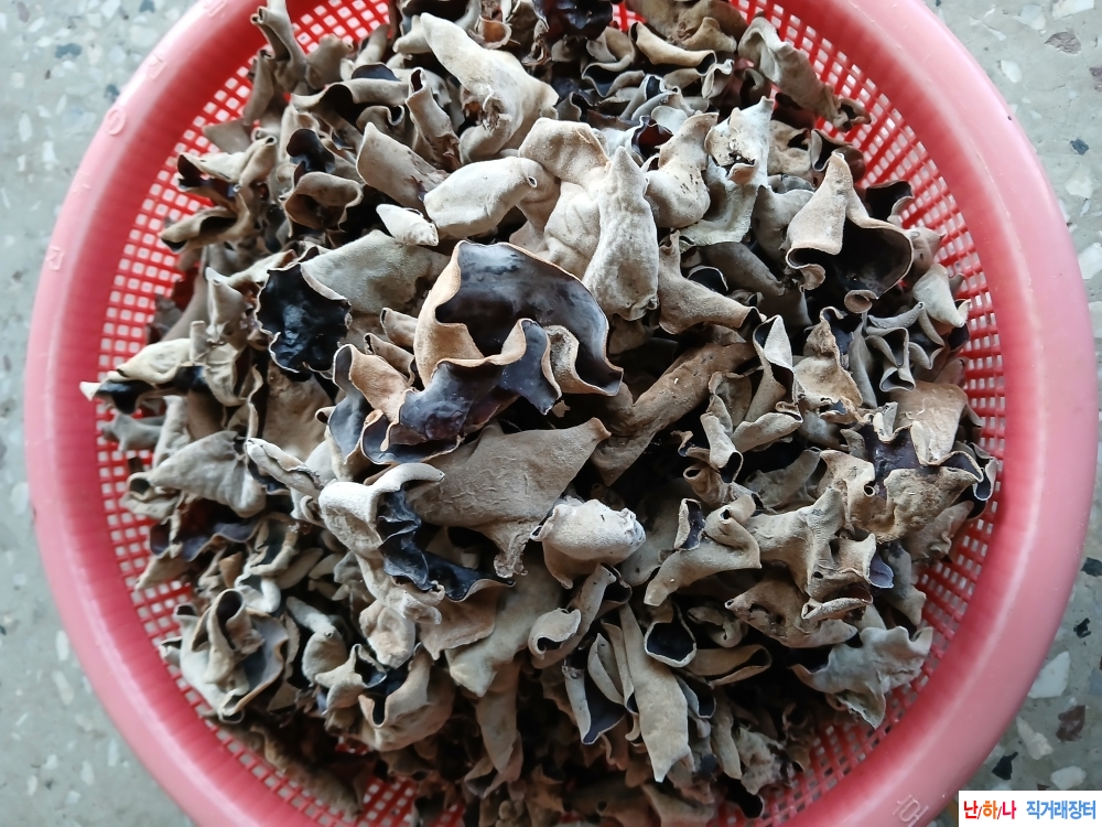 자연산목이버섯