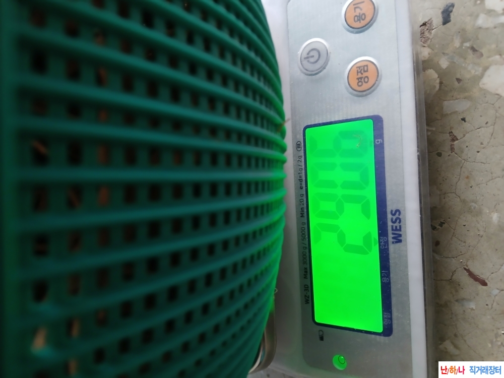 자연산우슬(牛膝)