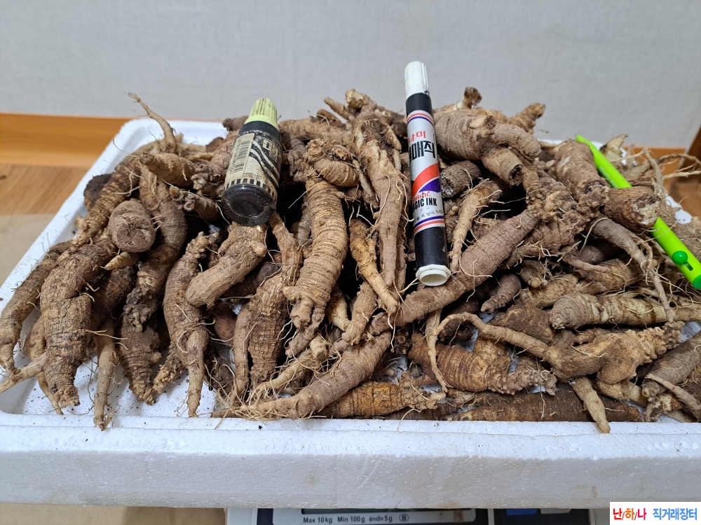 자연산 더덕    (자연 ?