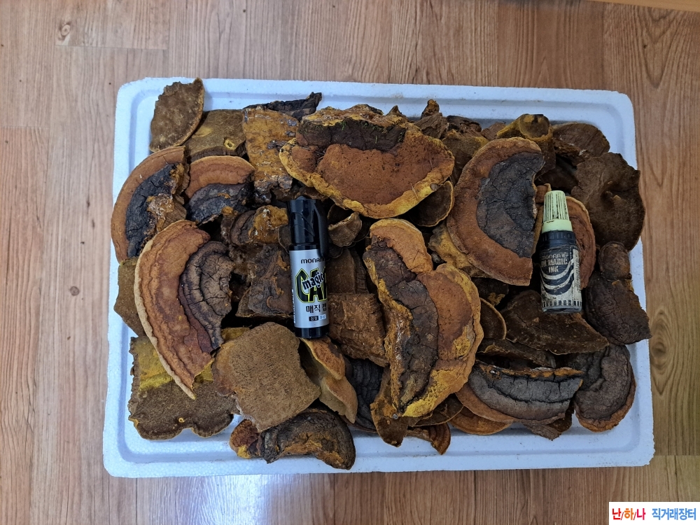 황철 갓 편상황