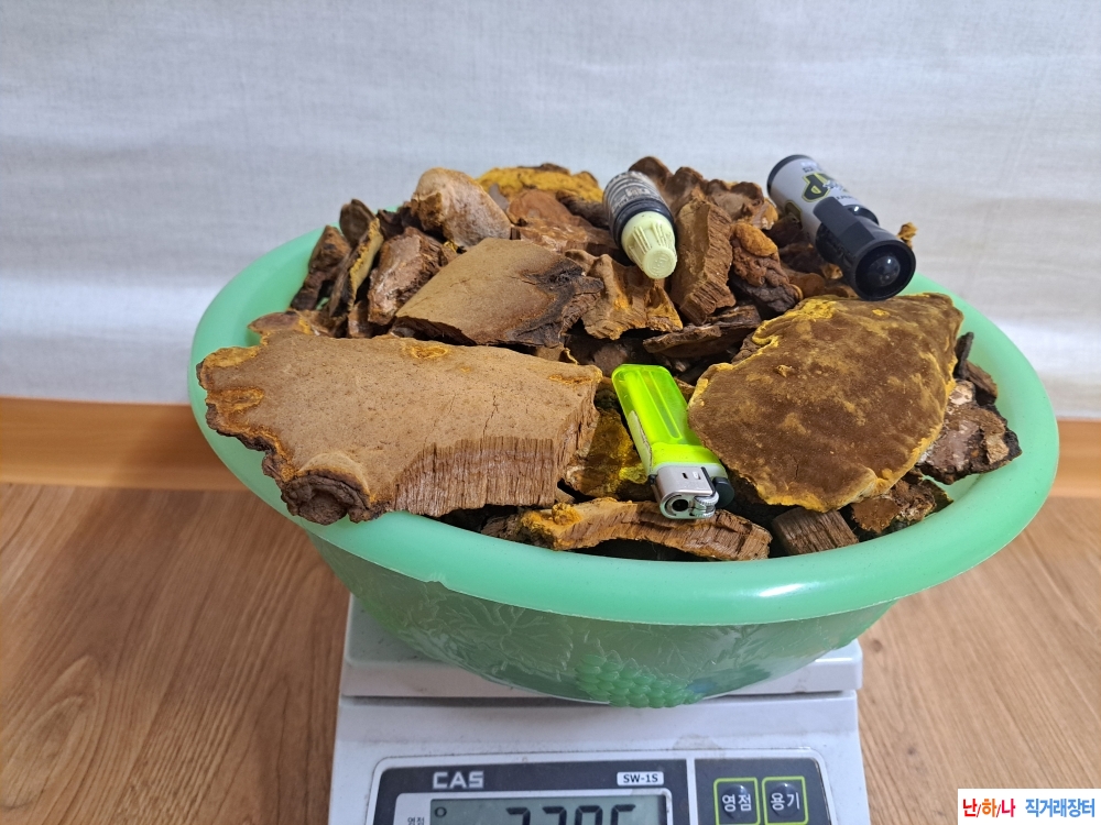 황철 갓 편상황 (조각 ?