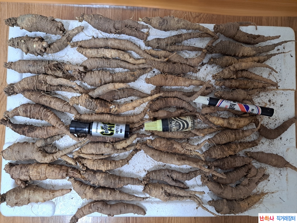 자연산 더덕 (2세트)