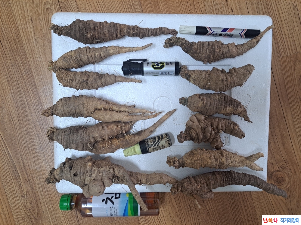 자연산 더덕 (담금용)