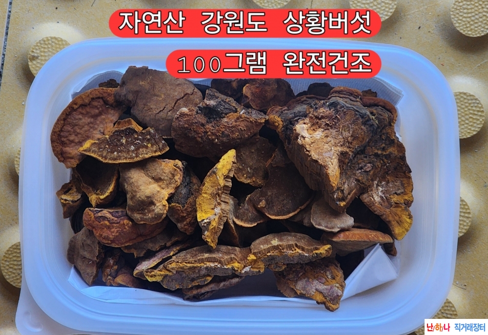 특특::강원도자연산 은?