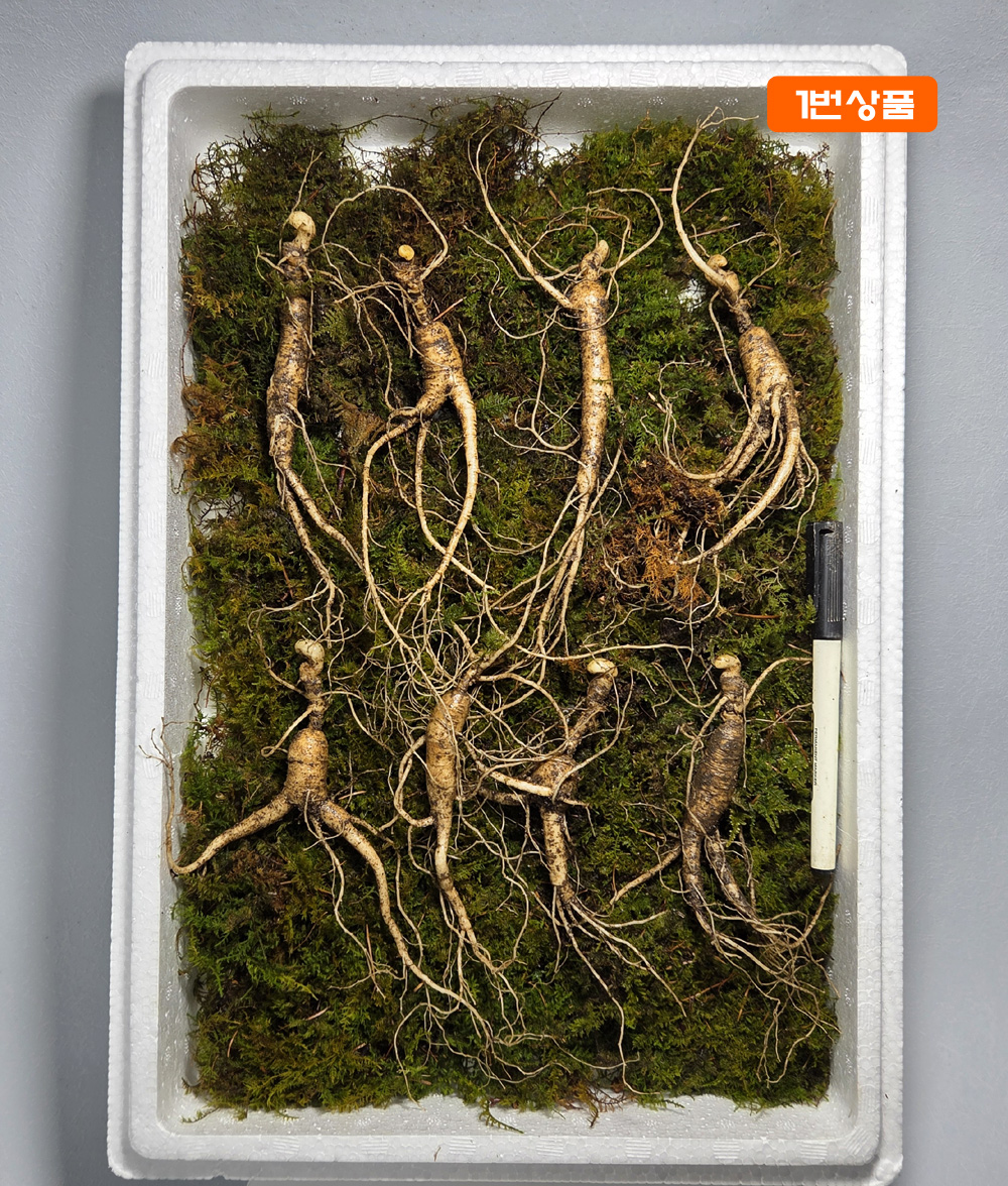 18년 산양삼 세트