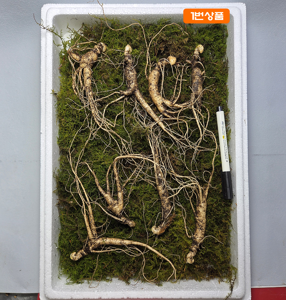 설명절 택배 마지막 산?