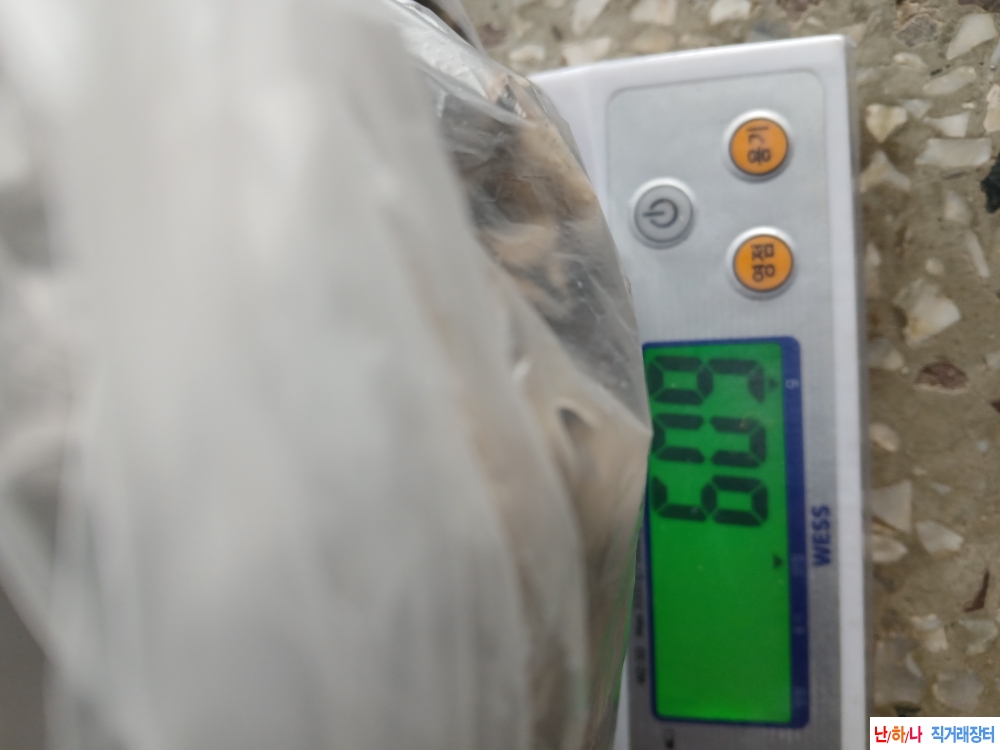 자연산먹이버섯