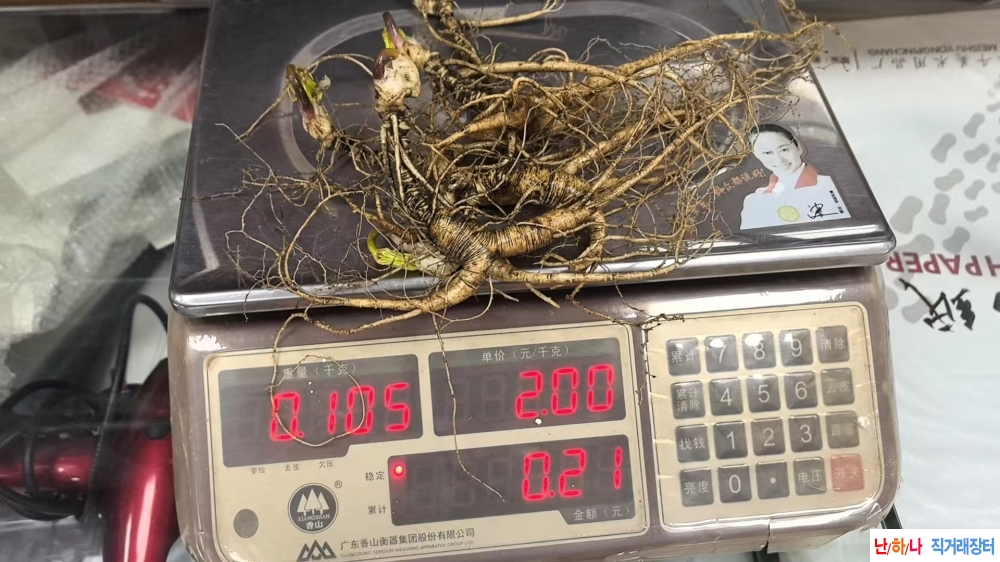 백두산 산양삼,방치삼,?