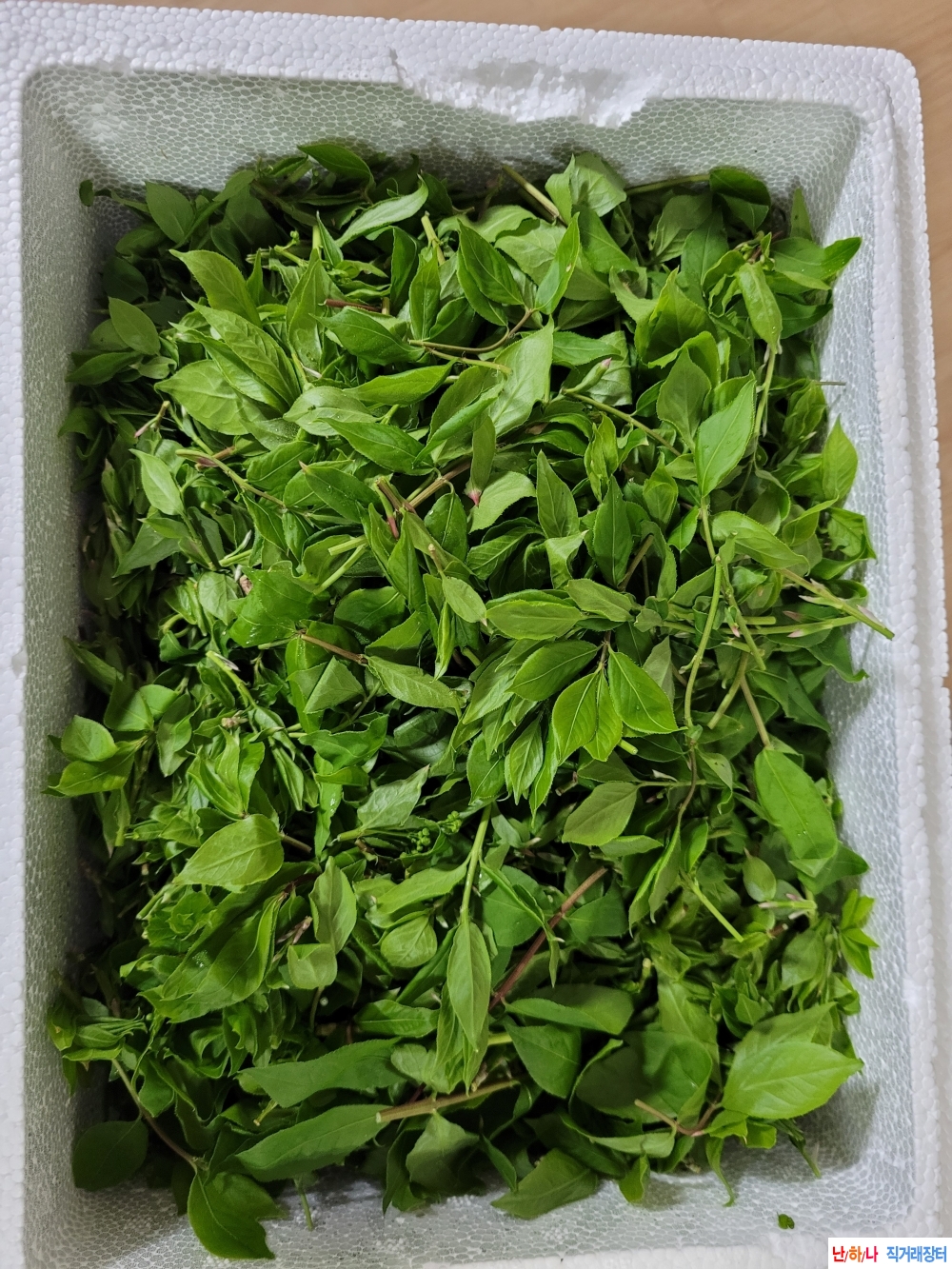 자연산 홑잎나물 판매?
