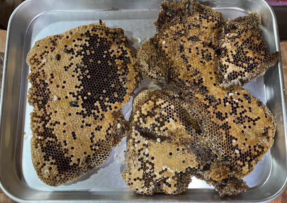 목청 담금용 또는 약용